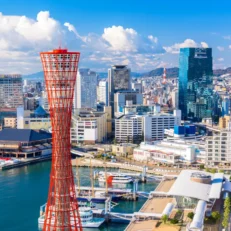 When Consulting Engineers Change the World: Stories of Great Projects